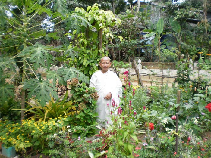 doan jee in her garden in sihanoukville